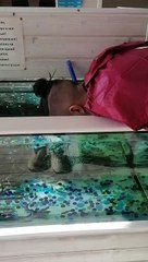 Guy Cleans Face with Fish