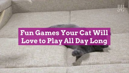 Fun Games Your Cat Will Love to Play All Day Long