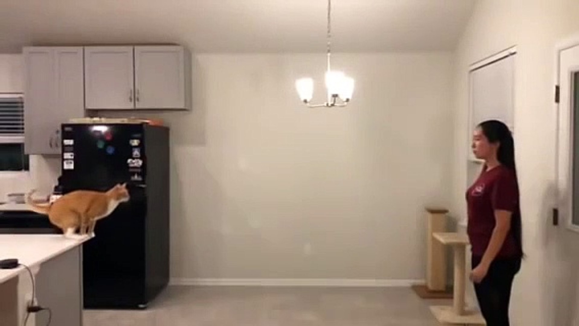 Best videos, Top videos, Viral videos Funny videos no. 100