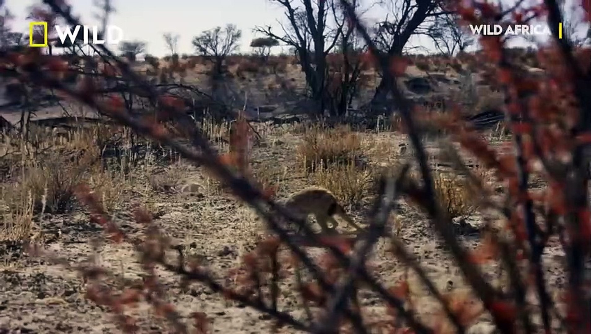 Best videos, Top videos, Viral videos Funny videos no. 101