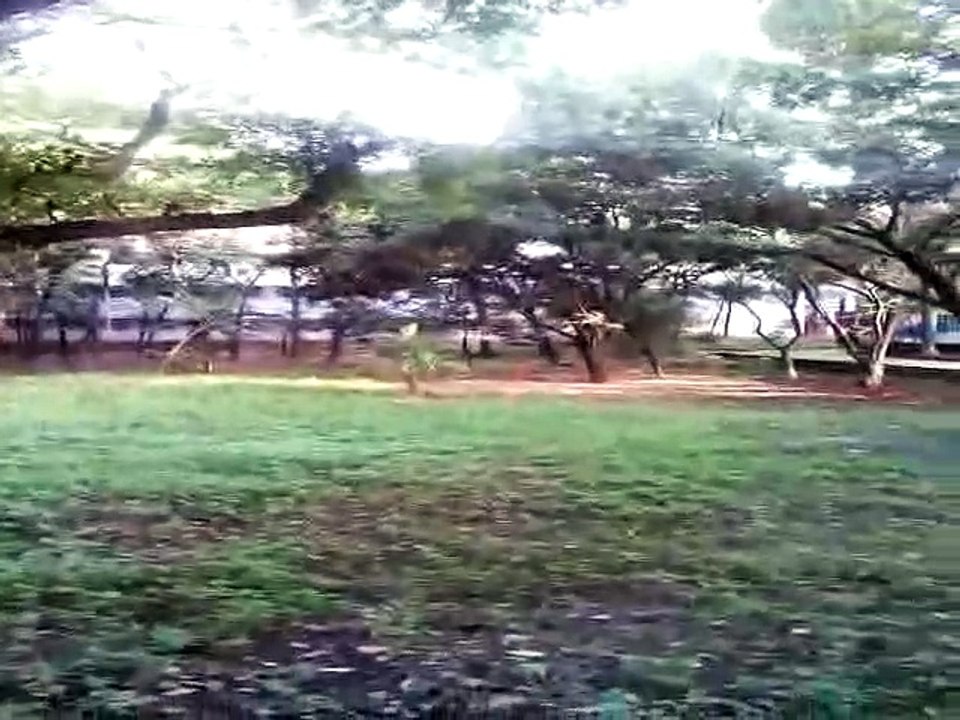 Govt.  Bangla College Campus and its scenic beauty@  Suravee Azad's World