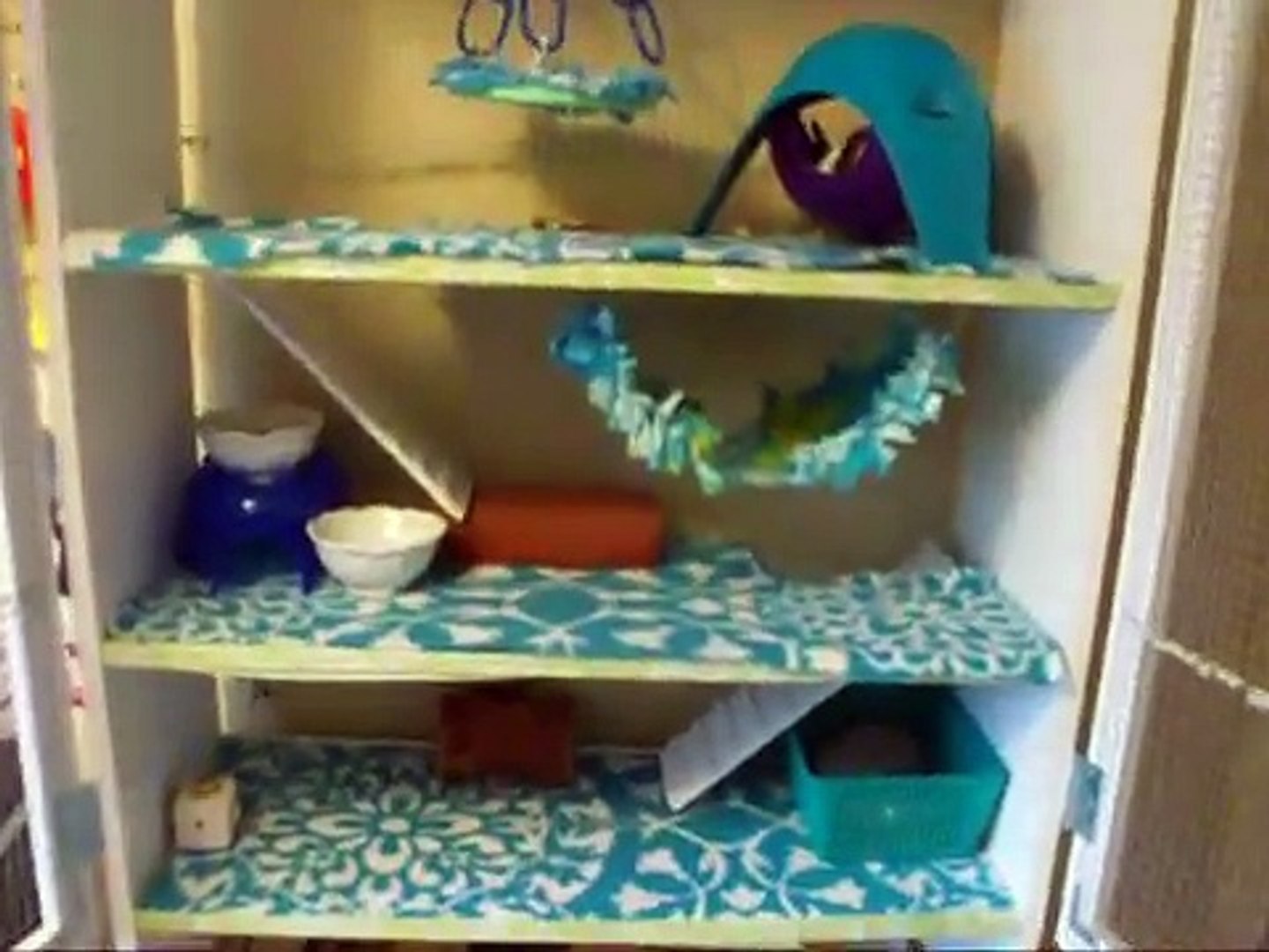 How to Make a Rat Cage Out of a Bookshelf: Easy DIY Guide