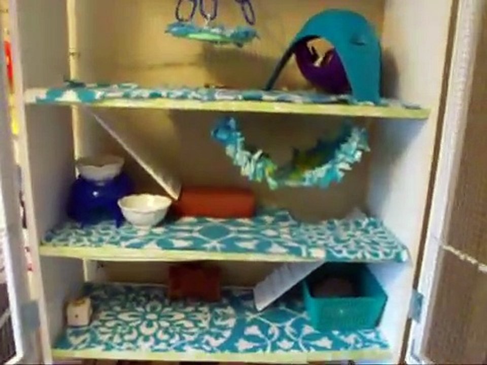 Diy Bookshelf Rat Cage Tour