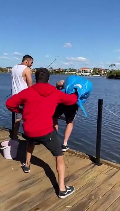 If you're bored , post this video right away !