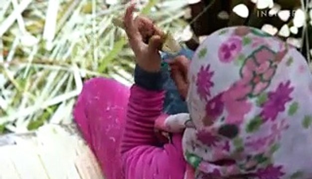 One Egyptian company is keeping the 5,000-year-old art of papyrus-making alive — here's what it's like inside