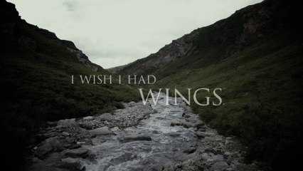 Jackson Dean - Wings