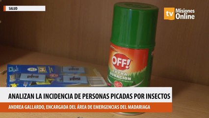 Analizan la incidencia de personas picadas por insectos