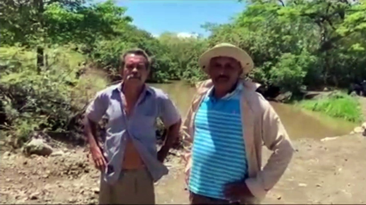 tn7-vecinos-peces-muertos-140421