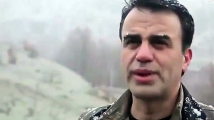 Demirtaş'ın terörist ağabeyi CHP'ye seslendi