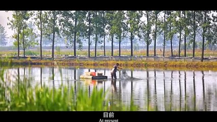 《物华天宝》：霍邱龙虾 Natural Treasures-Huoqiu Lobster