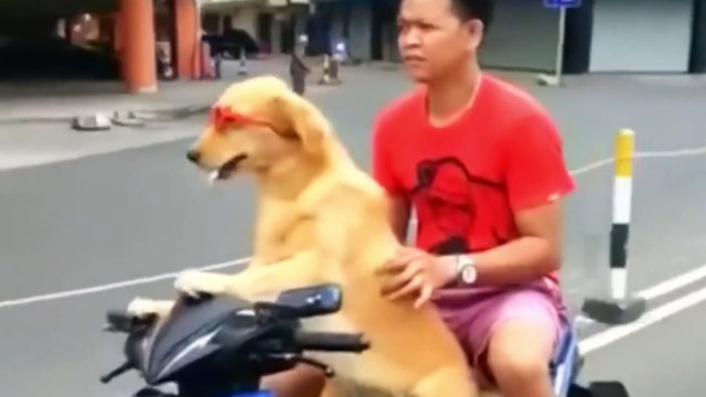 Se isso Não fosse Gravado, ninguém Acreditaria