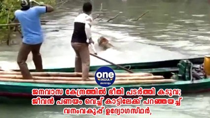 ജനവാസ കേന്ദ്രത്തിൽ ഭീതി പടർത്തി കടുവ | Oneindia Malayalam