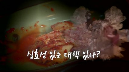 [영상] 알몸에 녹슨 굴착기까지...'중국산 김치' 대책 있나? / YTN