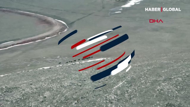 Domuz sürüsünün gezintisi havadan görüntülendi