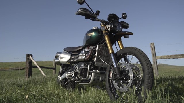 New Triumph Scrambler 1200 XC-XE 2021 and Scrambler 1200 Steve McQueen Edition