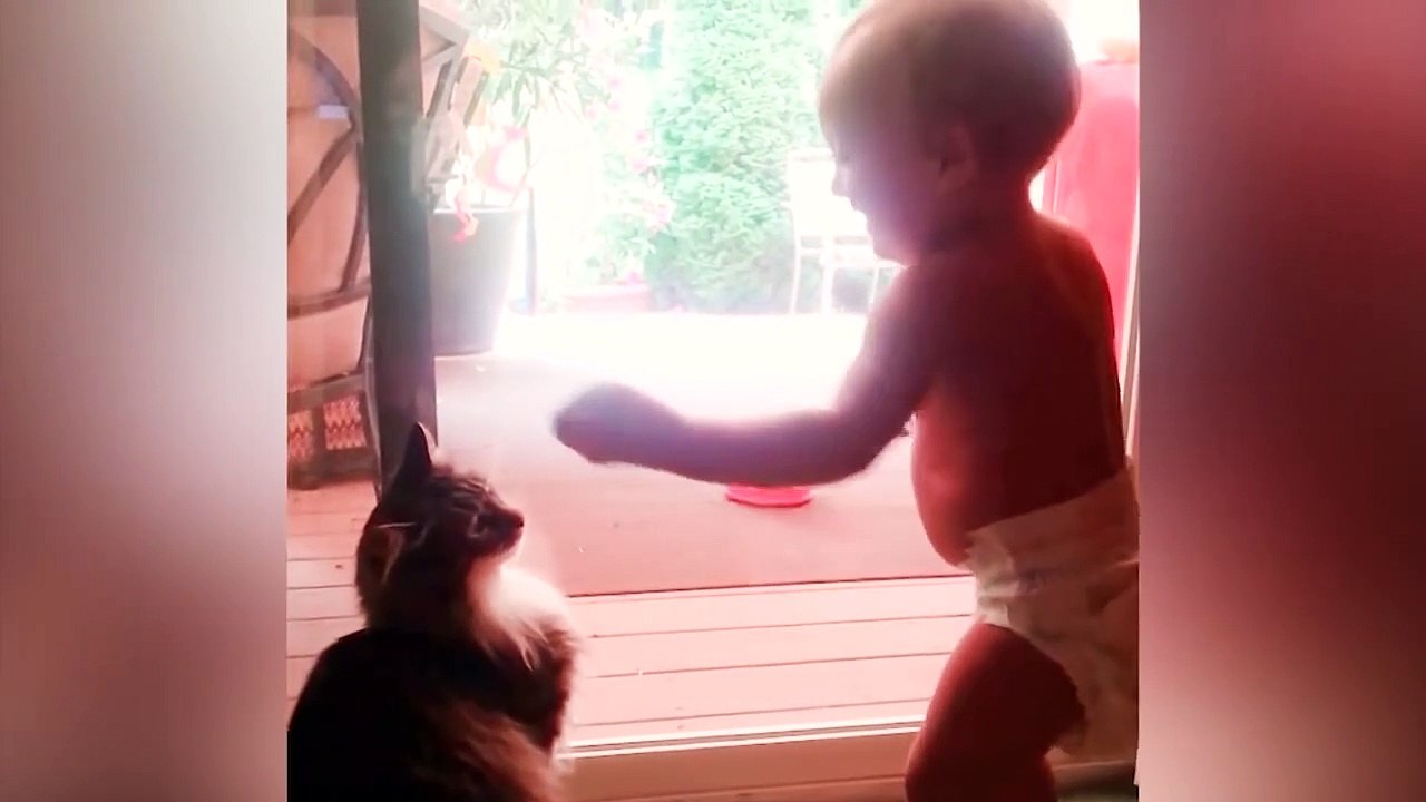 Funny Cats And Babies Playing Together ★ Animals Trolling Babies