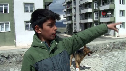 İşkence edilen köpeğe çocuklar sahip çıktı