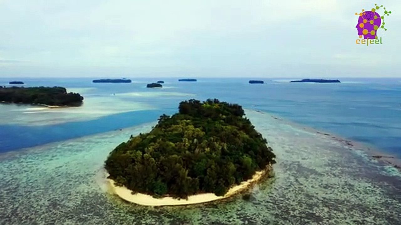 15 Minute Natural Relaxing Music | Instrumental | Peaceful | Calming | Soothing | Meditation | Mindfulness | Self-love |  Positive Energy