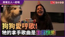 生日趴不能沒有牠！ 狗狗愛跟主人合唱「生日快樂」