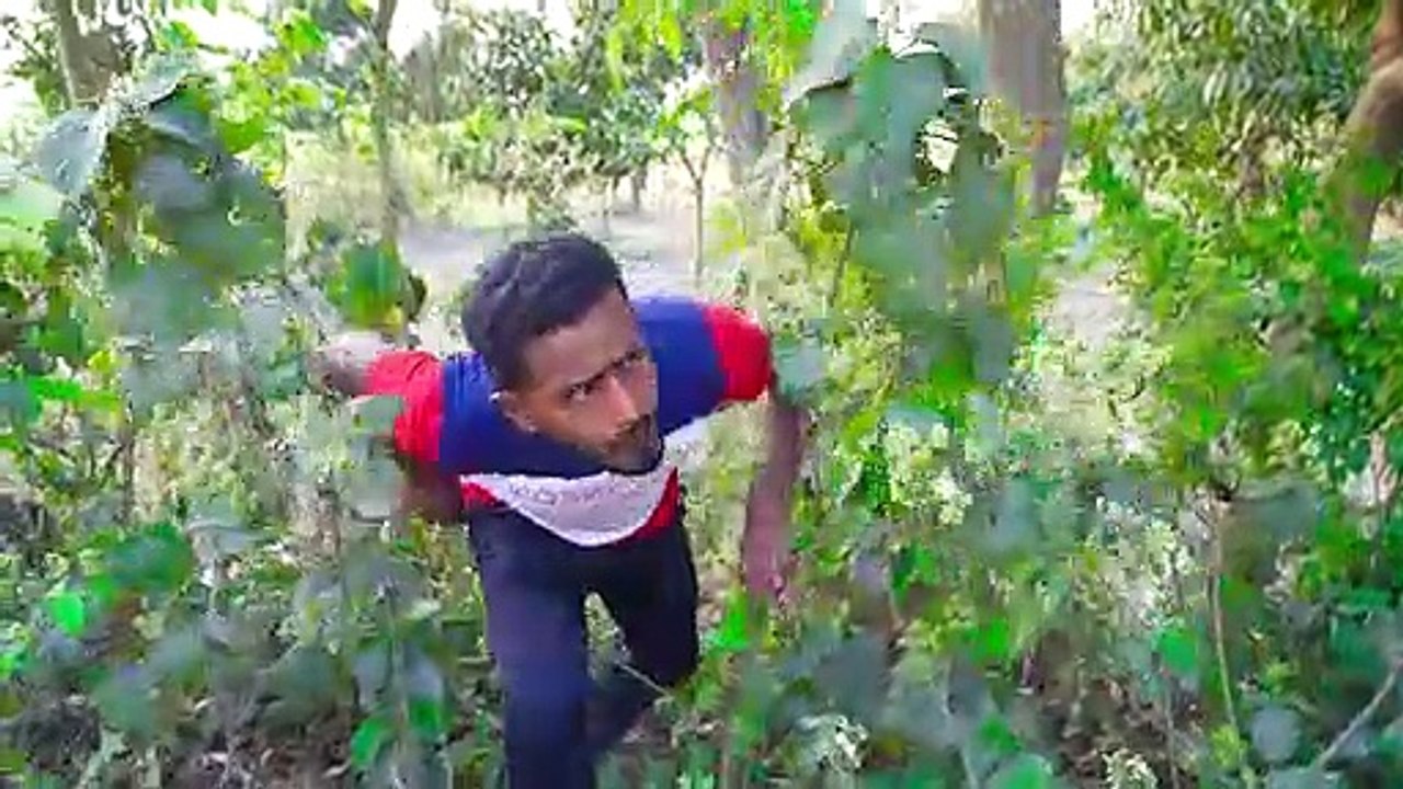 Must Watch New Funny Video 2021 Top New Comedy Video 2021 Try To Not Laugh Episode 174 By #Mahafuntv