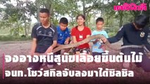 จงอางหนีสุนัขเลื้อยขึ้นต้นไม้จนท.โชว์สกิลจับลงมาได้ชิลชิล | Dailynews