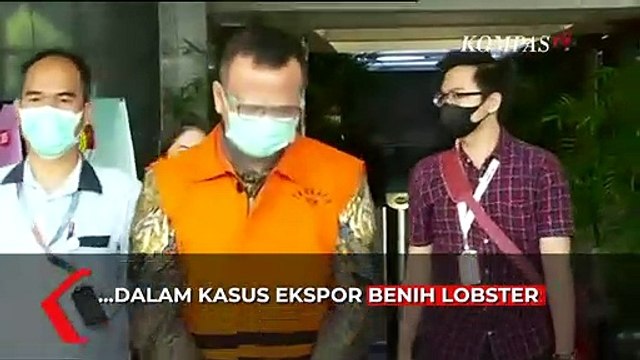 Edhy Prabowo Didakwa Terima Suap Rp 25,7 Miliar dalam Kasus Ekspor Benih Lobster