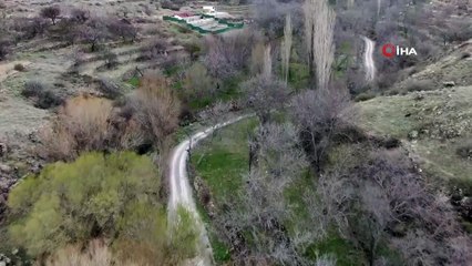 Koramaz Vadisi'nde 'bahar' güzelliği