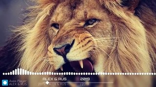 ALEX _ RUS roar lion song ДИКАЯ ЛЬВИЦА Music version HD