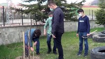 Kızılcahamam'daki Perihan Erdoğan Ortaokulu bahçesine şehitler anısına meyve ağacı fidanı dikildi