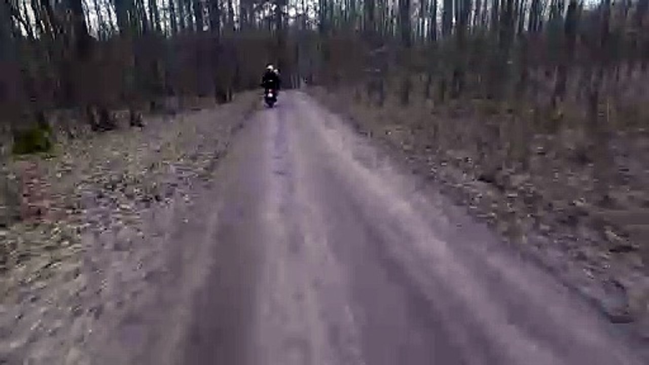 Running Deer Misses Motorcycle Rider by Inches