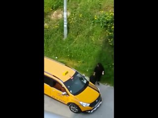 Güpegündüz taksici dehşeti: Kadını taciz etti, aracı üzerine sürdü