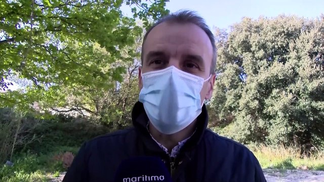 Martigues: colère des habitants de La Couronne face à l'abattage de pins