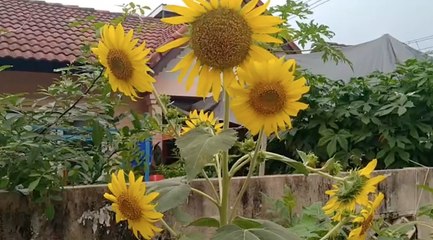 เรื่องพลบค่ำ ช่วงที่ 4 วันพฤหัสบดีที่ 15 เม.ย.64