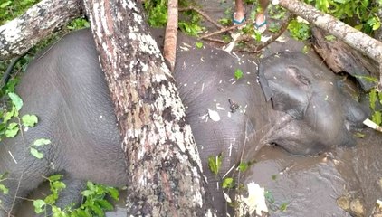 เรื่องพลบค่ำ ช่วงที่ 2 วันพฤหัสบดีที่ 15 เม.ย.64