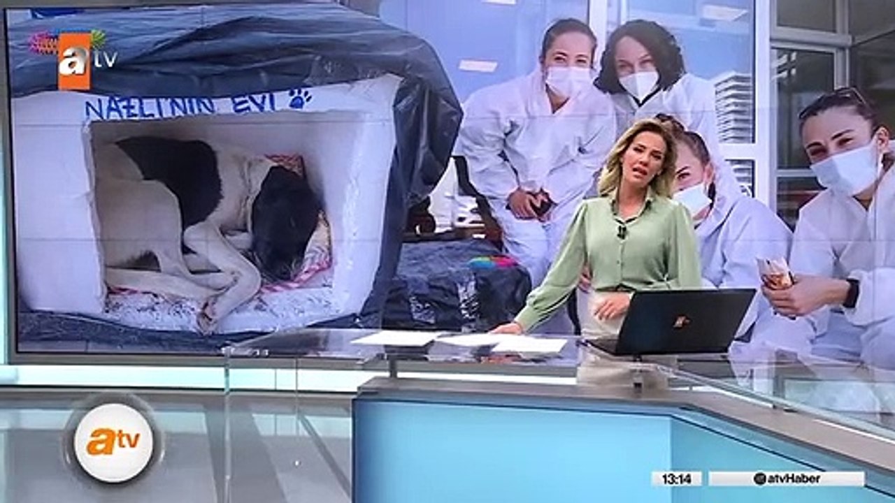 Filyasyon ekiplerinin can dostu Nazlı