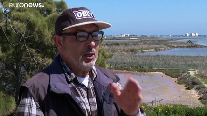 شاهد: نظام زراعي فريد في العالم: البحر يسقي الخضروات إزاء شح المياه في تونس