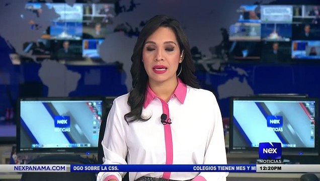 Anteproyecto de ley que implementa semáforos inclusivos - Nex Noticias