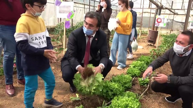 Minikler serada organik sebze yetiştiriyor