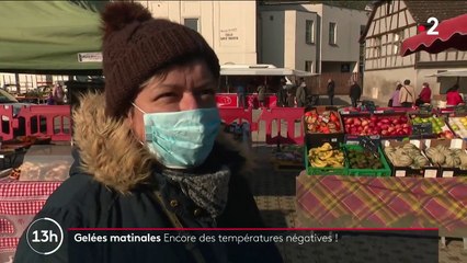 Gelées de printemps : les conséquences pour les producteurs et les consommateurs