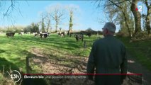 Agriculture : en Bretagne, les éleveurs bio à la recherche de repreneurs avant leur départ en retraite