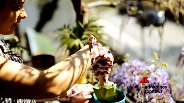 In 30 anni scomparso il 70% degli insetti impollinatori