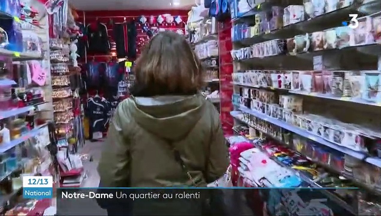 Notre-Dame de Paris : le quartier de l'Ile de la Cité au ralenti