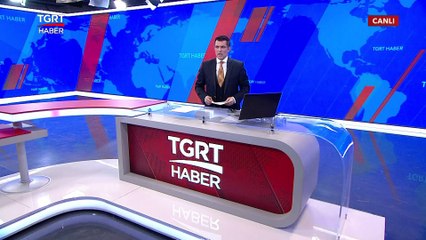 Kaybolan 2 Kedisini Dev İlanla Arıyor