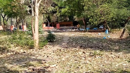 पांच दिन में 53 अंतिम संस्कार, गुरुवार को 15