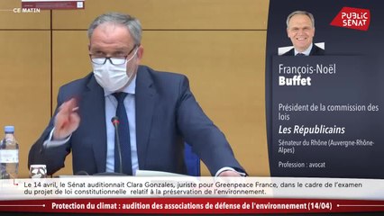 Protection du climat : audition des associations de défense de l'environnement - En séance (15/04/2021)