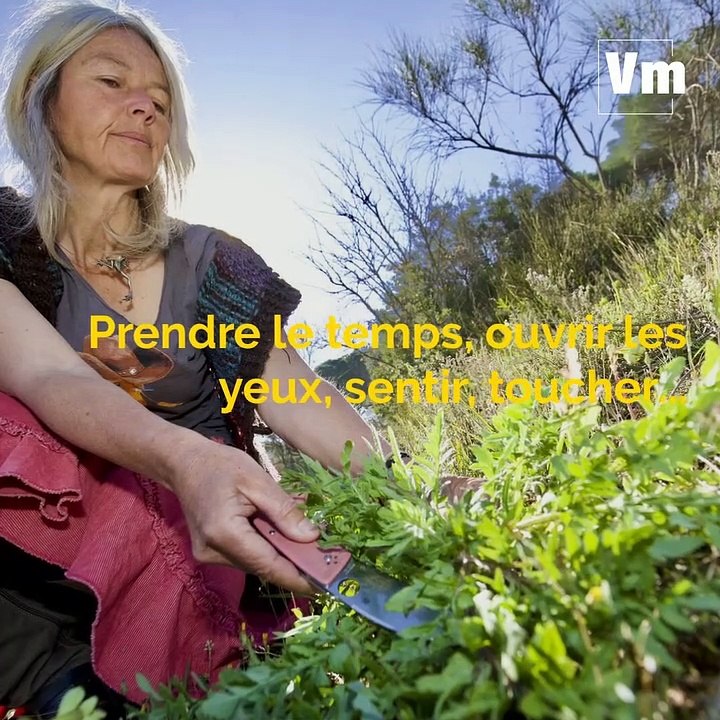 A la découverte du patrimoine végétal, sauvage et comestible du Var avec Marjorie Ughetto