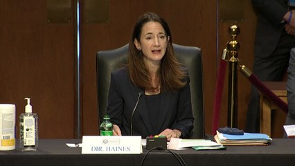 美 정보수장들 "중국은 동급 경쟁자...사이버 능력 위협적" / YTN