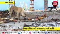 video story: सिस्टम की लापरवाही को उजागर करती श्मशान की ये तस्वीरें