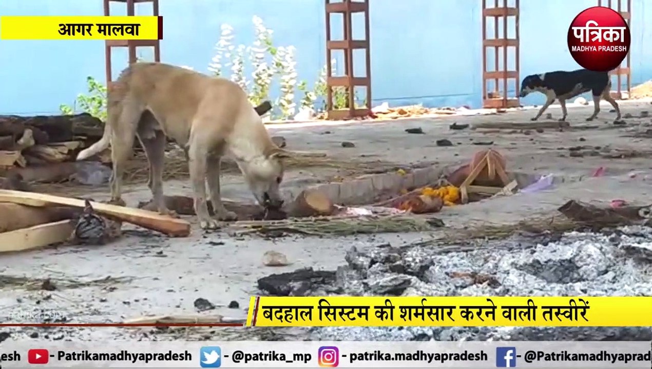 video story: सिस्टम की लापरवाही को उजागर करती श्मशान की ये तस्वीरें