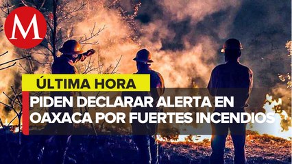 Solicitan declaratoria de emergencia en Oaxaca debido a incendios